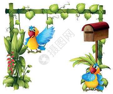 绿色信箱两只鹦鹉和一个木信箱插画
