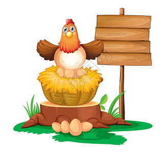 母鸡孵蛋 配有木制招牌背景图片