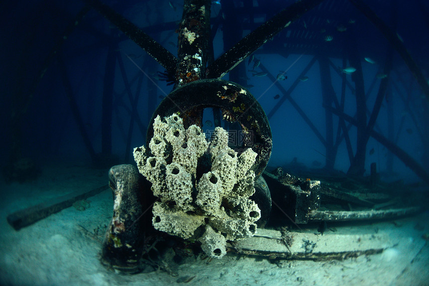 MabulSipad下潜中心附近的黄昏的海绵附加桥热带马布海洋珊瑚水族馆呼吸管野生动物潜水游泳潜水员图片