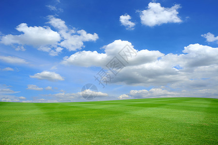 草面积草地风景蓝天阳光绿色园景运动场草皮运动植物背景图片