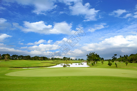 高尔夫球场季节假期蓝色地点场旗帜场景场地植物高尔夫球背景图片