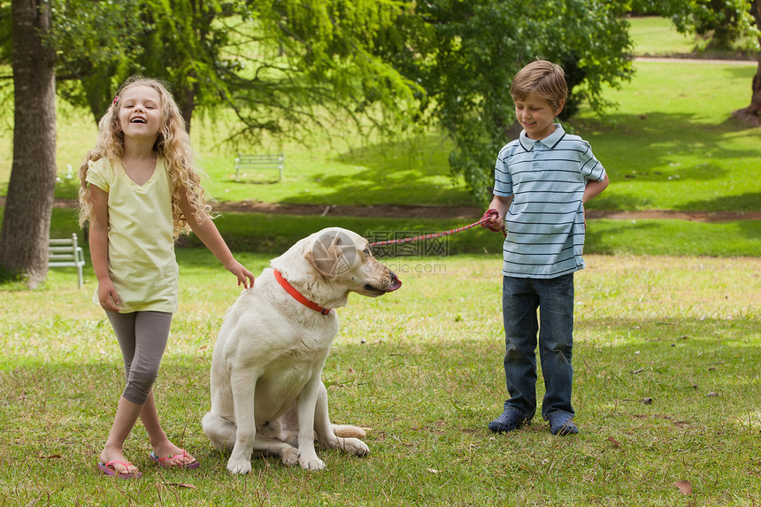 两个快乐的孩子和宠狗 在公园金发女郎兄弟友谊女孩女性绿色宠物动物男生浅色图片