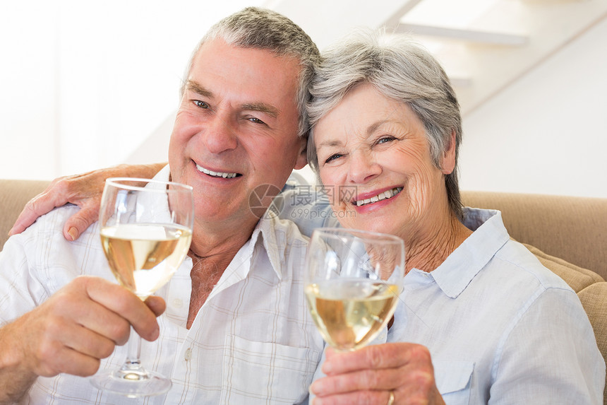 坐在沙发上喝白葡萄酒的老年夫妇岁月感情流金公寓闲暇住所退休家庭酒精客厅图片