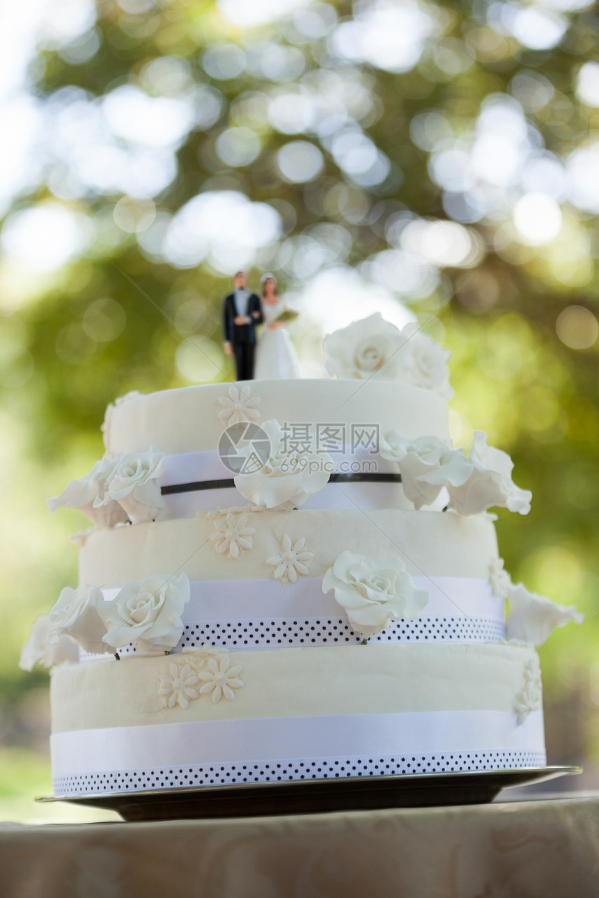 在公园的婚礼蛋糕上的一对小夫妻图片