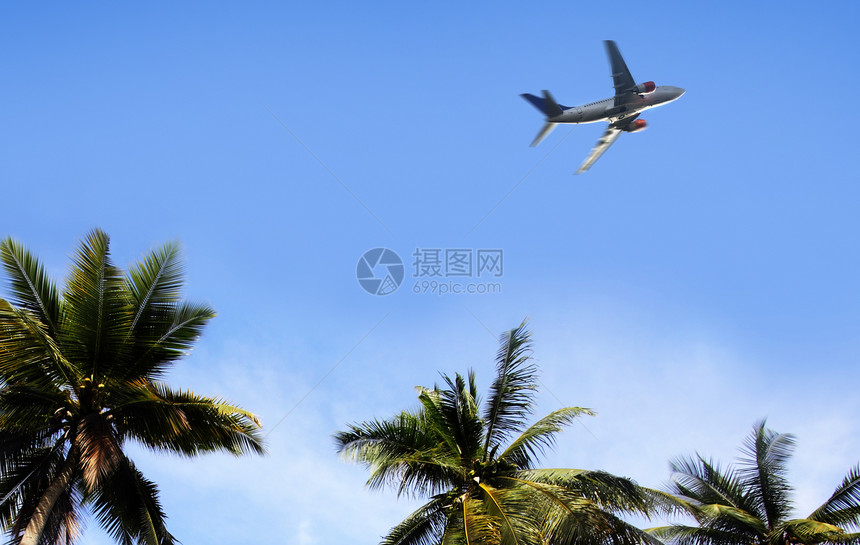 棕榈和海枣翅膀太阳游客蓝色自由旅行商用飞机假期座舱空气图片