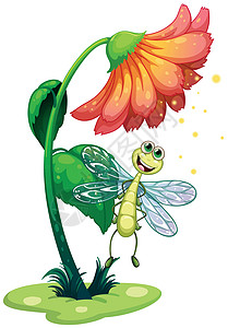 飞翔蜻蜓在花朵下飞翔的设计图片