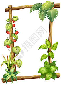 褐色藤蔓框架带植物的框框插画