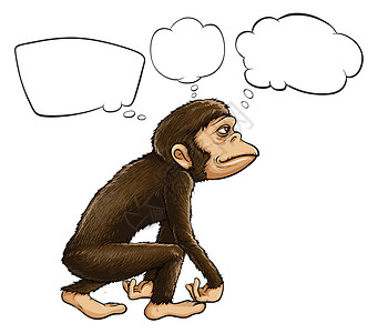 猿的思考背景图片