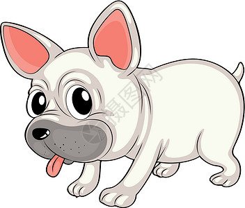 单腿独立的小狗一只白色的斗牛犬宠物酒吧舌头婴儿耳朵眼睛动物尾巴绘画小狗插画
