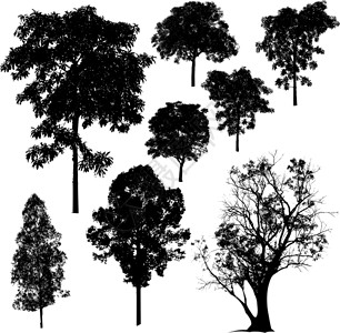 树形硅粉矢量植物植被阴影艺术品卡通片木头植物群绘画插图艺术插画