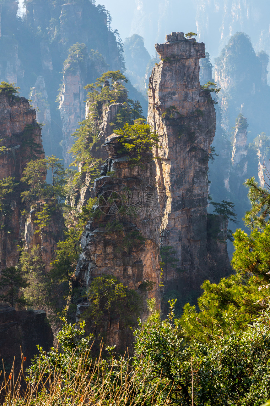 张贾吉 中国世界岩石绿色国家风景遗产石头森林公园化身图片