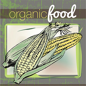 玉米碴子有机食品制作图案烹饪收成产品沙拉蔬菜饮食营养美食农业厨房插画