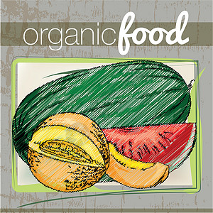 有机哈密瓜有机食品制作图案水果生长饮食沙拉厨房营养农场农业蔬菜烹饪插画