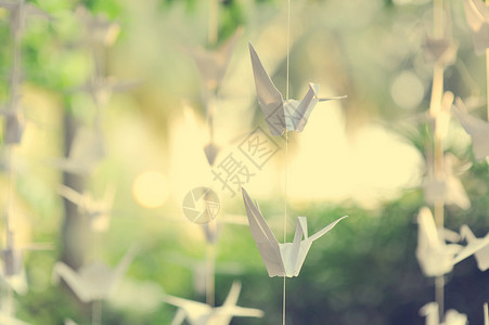 纸起重机文化手工翅膀天鹅动物祝福艺术品自由花园折叠高清图片