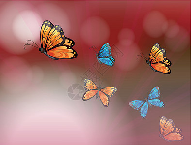 捕蝴蝶的网有蝴蝶的纸设计图片