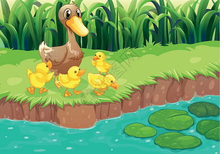 河长一只母鸭和她的鸭子在河边插画