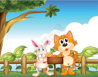 种萝卜的兔子一只猫和一只兔子 在空木木签牌旁边设计图片