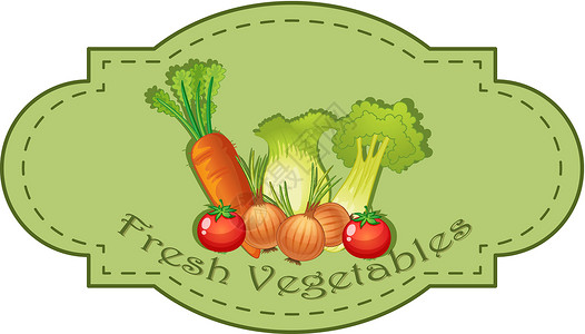 营养素新鲜蔬菜标签边缘卡通片洋葱矿物质海报菜单绘画菜市场农场农业插画