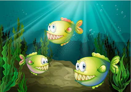 食人鱼海水下三只有海草的鱼插画