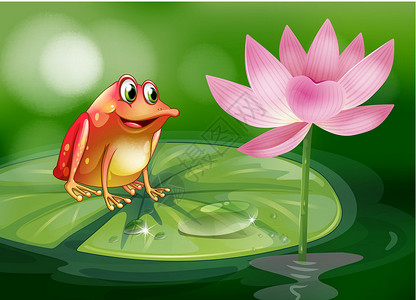 荷花青蛙一只青蛙在一朵粉红花旁的河水上方设计图片