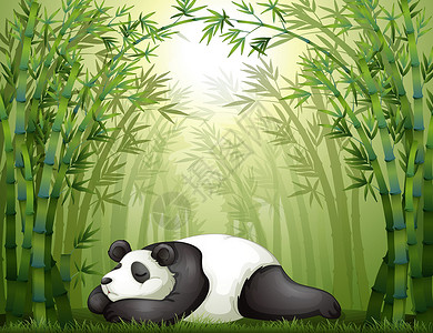 抱着竹子熊猫在竹树之间睡觉的一只熊猫设计图片