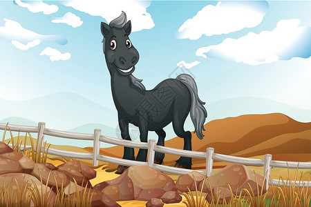 马泰拉石头木篱旁一匹笑着的灰色马插画