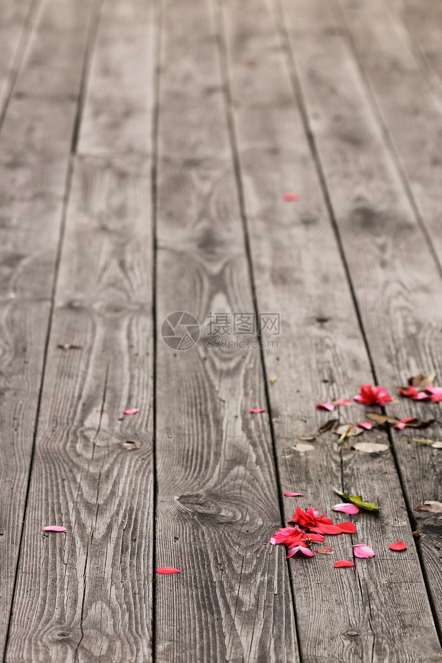 在旧木板上坠落花瓣图片