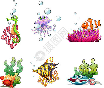 不一样的海洋生物艺术家贝壳海洋草图素描海藻气泡呼吸珍珠海马背景图片