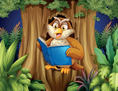 森林图书馆书猫头鹰在树上读书插画