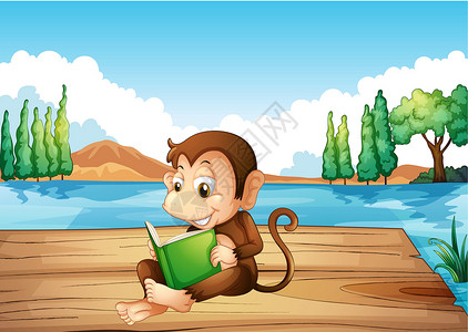 一只猴子在港口看一本书高清图片