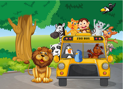 动物园大客车满载动物袋鼠捕食者涡轮宠物街道斑马小狗企鹅公共汽车卡通片背景图片