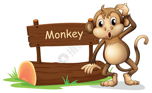 原木指示牌猴子在标志板旁边插画