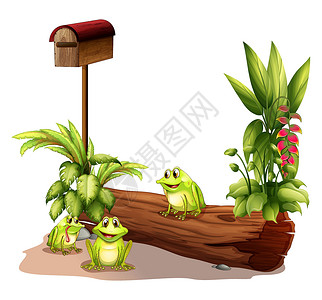 绿色信箱三只青蛙靠近木信箱插画