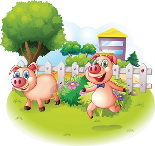 两只猪木篱旁有两只小猪插画