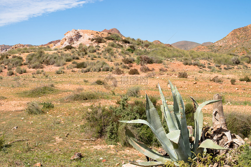 沙漠景观荒野植被水平自然公园晴天干旱岩石图片