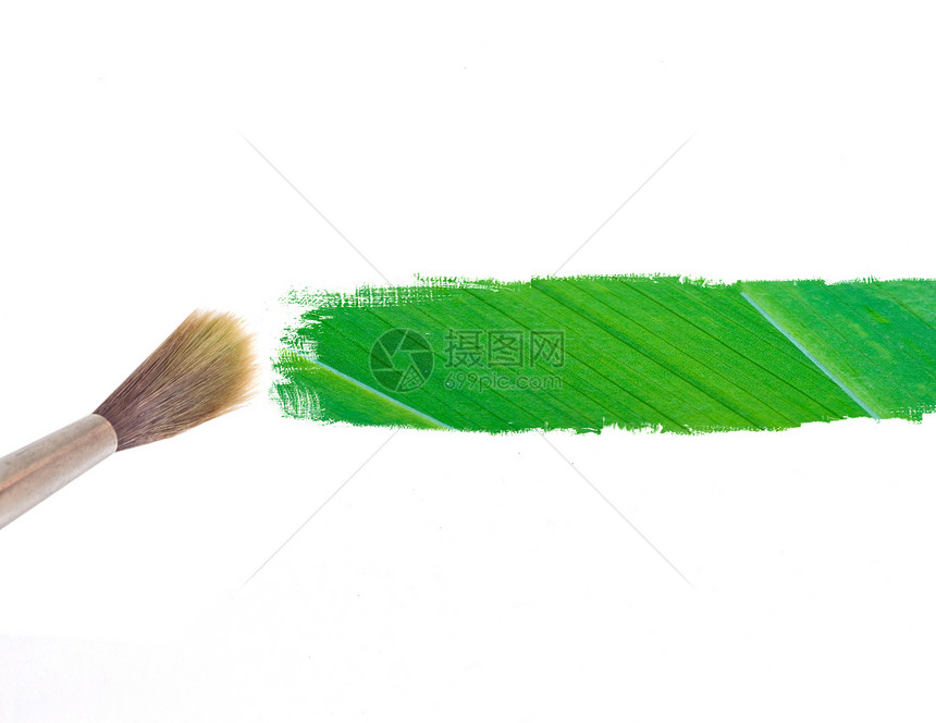 油漆刷和绿叶条图片