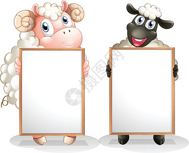 两只带空板的绵羊背景图片