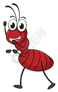 赏你个腿蚂蚁漏洞绘画荒野白色红色昆虫卡通片工人动物野生动物插画