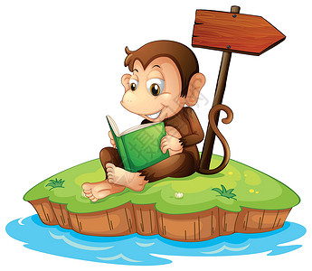 凌家卫岛一个在岛上读书的猴子插画