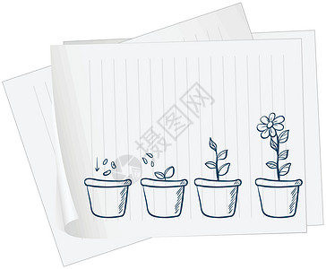 纸锅鸡汁脆笋一张有植物生长图画的纸插画