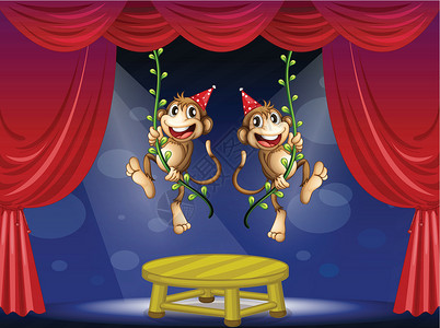 猴子表演两只猴子在表演阶段表演风头中心帽子窗帘植物动物舞台聚光灯大猩猩派对设计图片