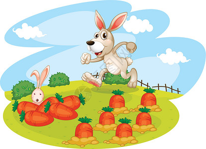 兔子在灌木丛一只兔子在花园里带着胡萝卜跑来跑去插画