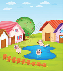 游泳猪猪和房屋插画