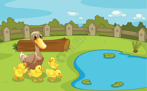 小栅栏小池塘附近的鸭子插画