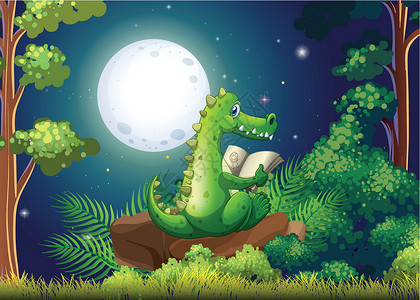 书与石头素材一个鳄鱼在森林中央的读物设计图片