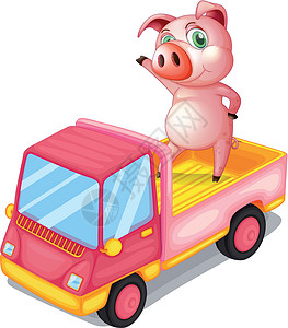 唐卡绘画卡车里的猪插画