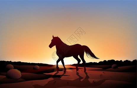 沙漠中日落景色中的一匹马高清图片