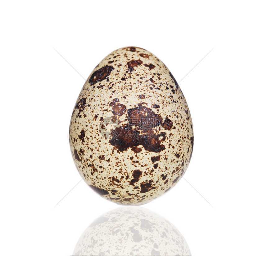 单蛋蛋壳蛋黄早餐产品食物母鸡季节椭圆形饮食动物图片
