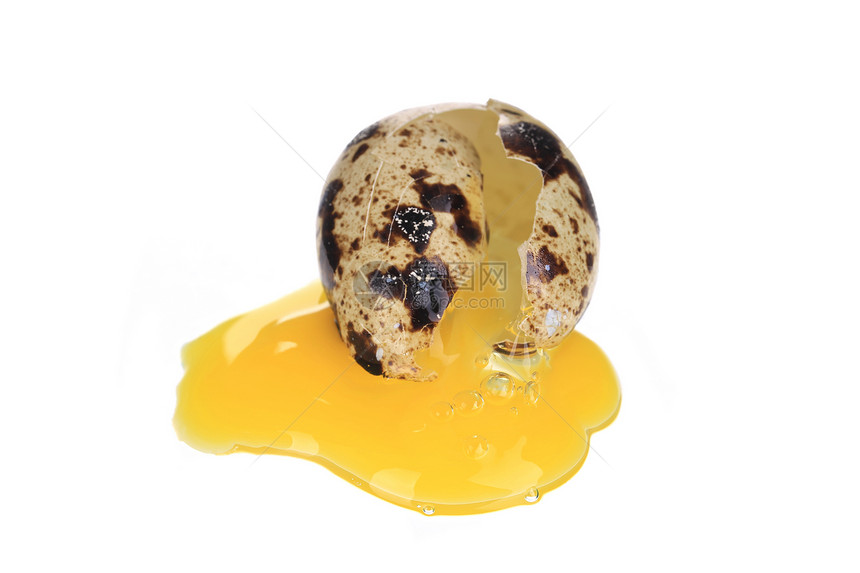 蛋断了动物椭圆形脆弱性蛋壳产品早餐母鸡食物饮食宏观图片