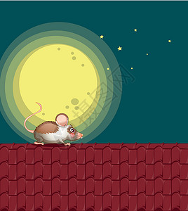 中午屋顶上一只老鼠设计图片